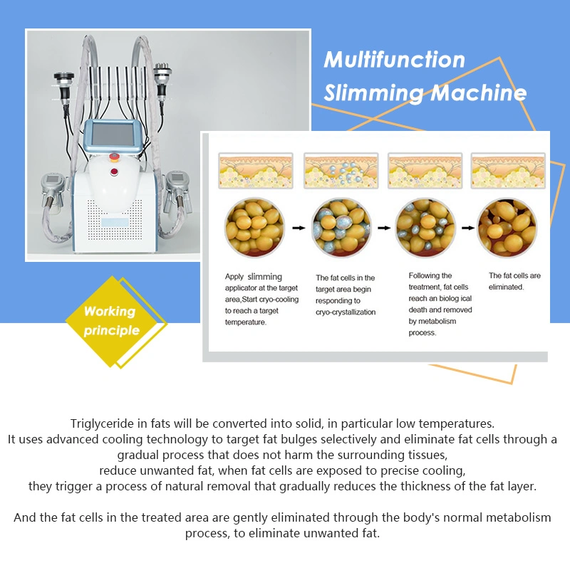 6in1 Multifunction Cryolipolysis Slimming Machine Fat Freezing Body Shapping Device