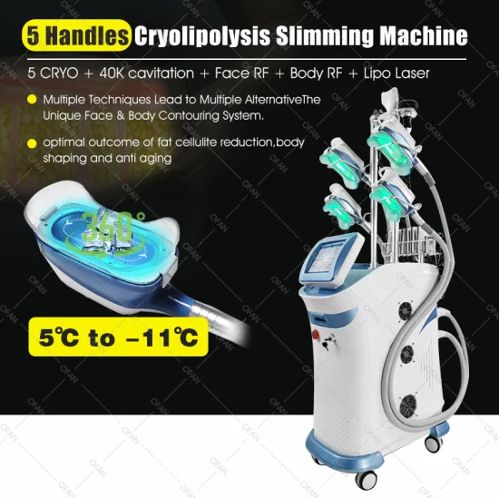 Ofan 냉각 장치 슬림 얼굴 치료 Cryo Lipolaser Cavitation RF 진공 극저온 분해 기계 판매